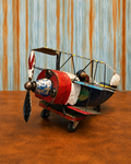 Gone for a flight